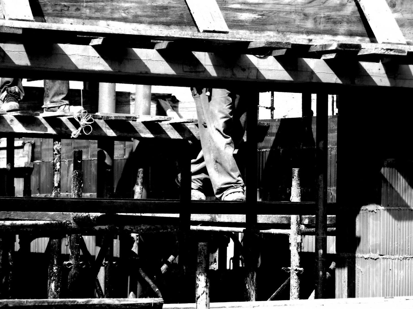 nicola zanettin dallaverde cantiere  e